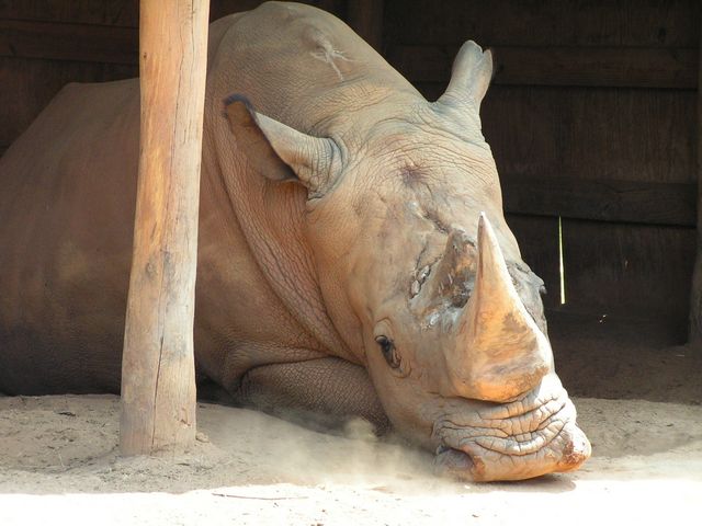 Click to display next picture