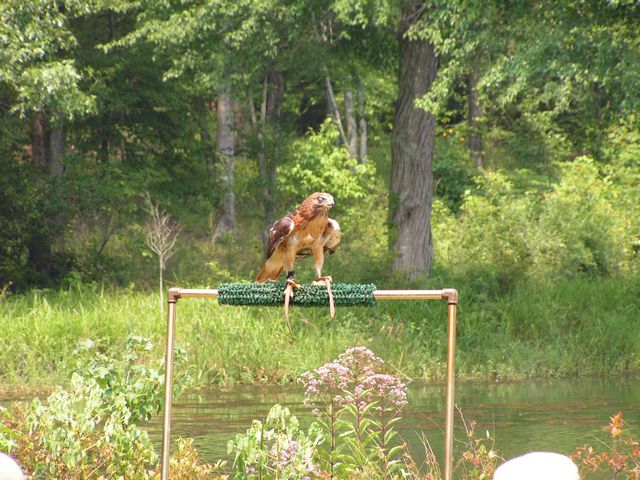 Click to display next picture