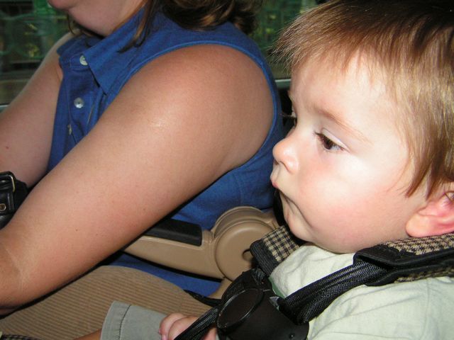 Click to display next picture