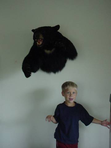 Click to display next picture