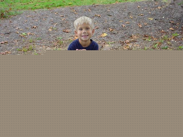 Click to display next picture