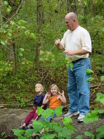 Click to display next picture