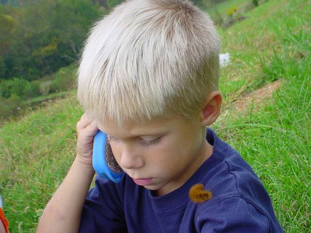 Click to display next picture