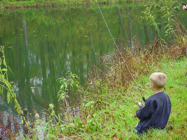 Click to display next picture