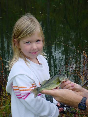 Click to display next picture