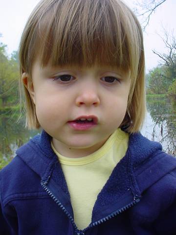 Click to display next picture