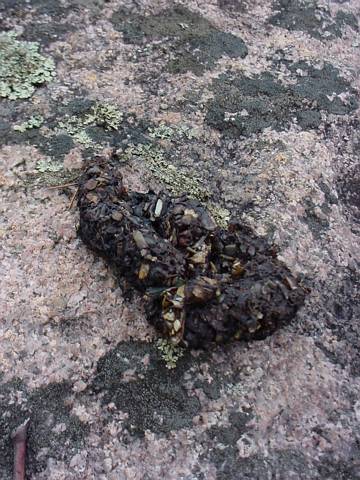 Click to display next picture