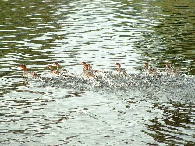 Click to display next picture