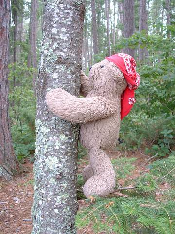 Click to display next picture