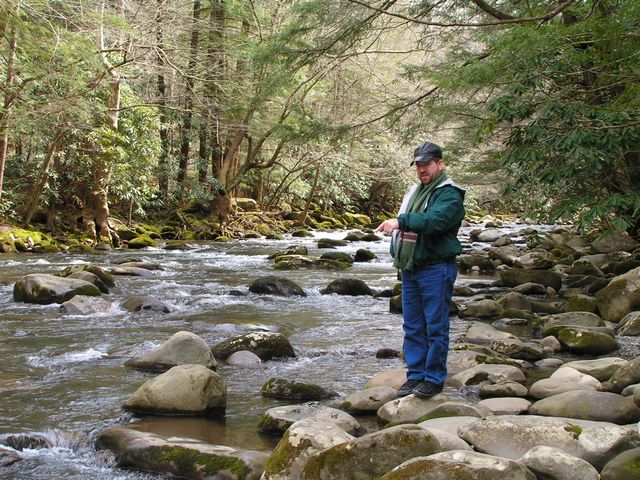 Click to display next picture