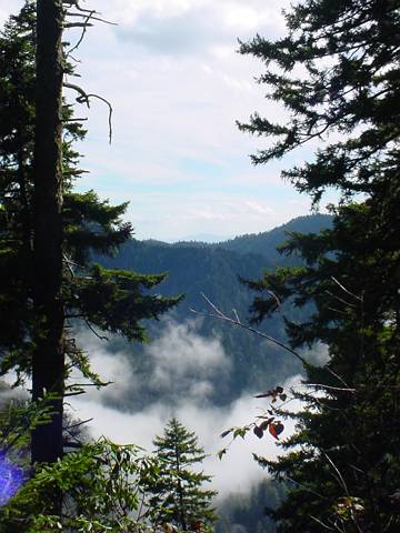 Click to display next picture