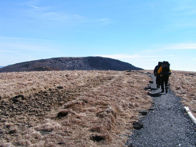 Click to display next picture