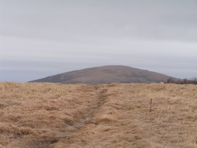 Click to display next picture