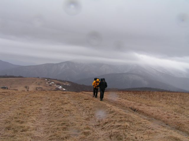 Click to display next picture