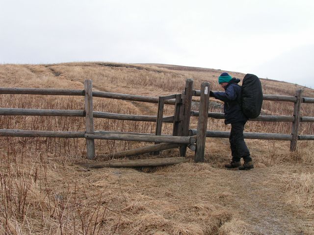 Click to display next picture