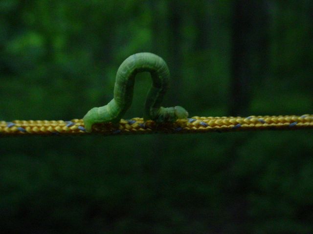 Click to display next picture