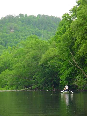 Click to display next picture