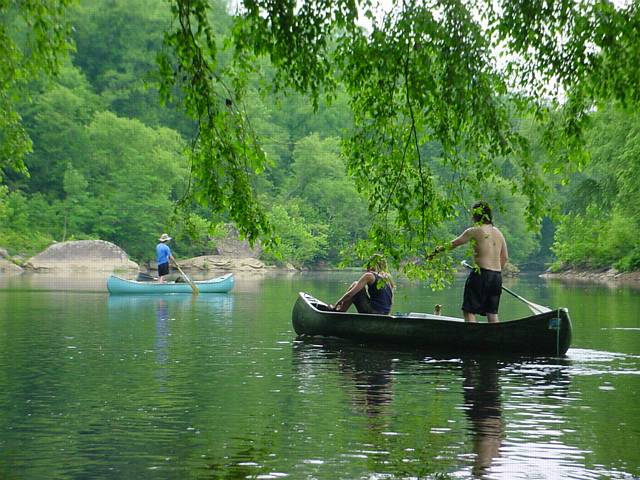 Click to display next picture