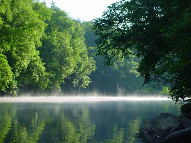 Click to display next picture