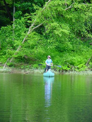 Click to display next picture