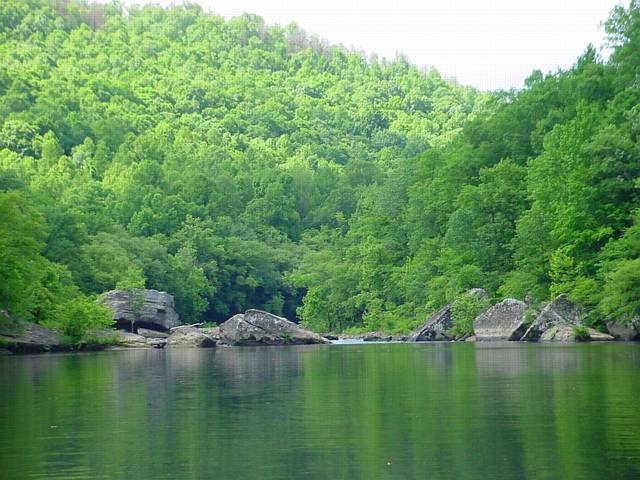 Click to display next picture