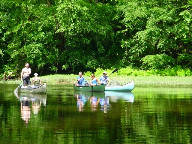 Click to display next picture