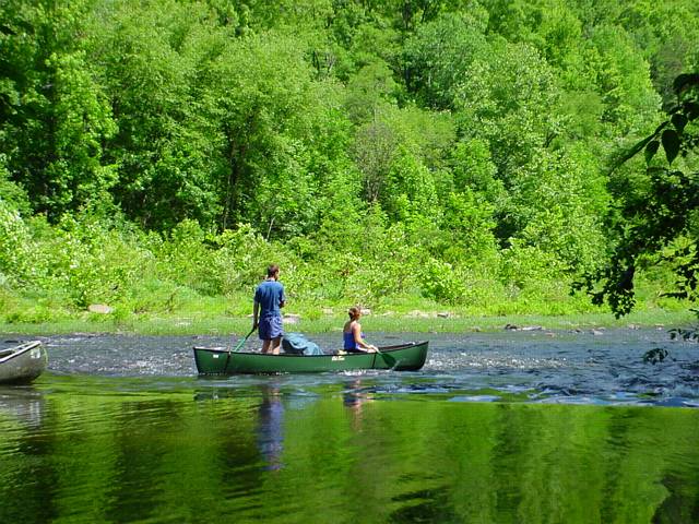 Click to display next picture