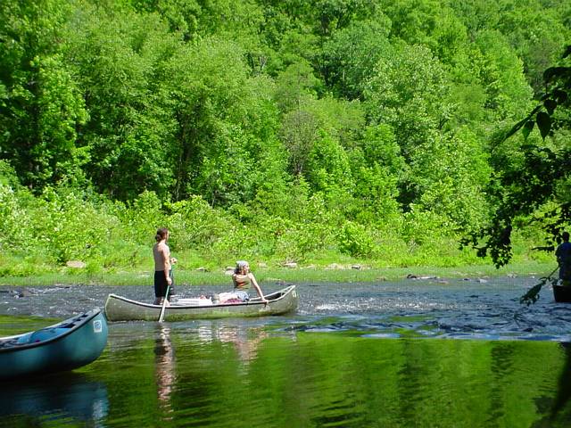 Click to display next picture