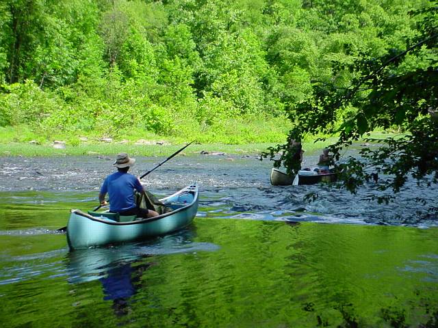 Click to display next picture