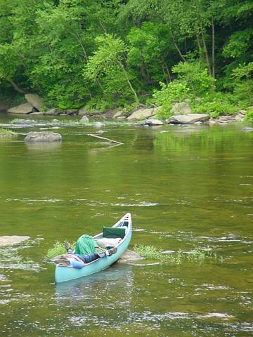 Click to display next picture