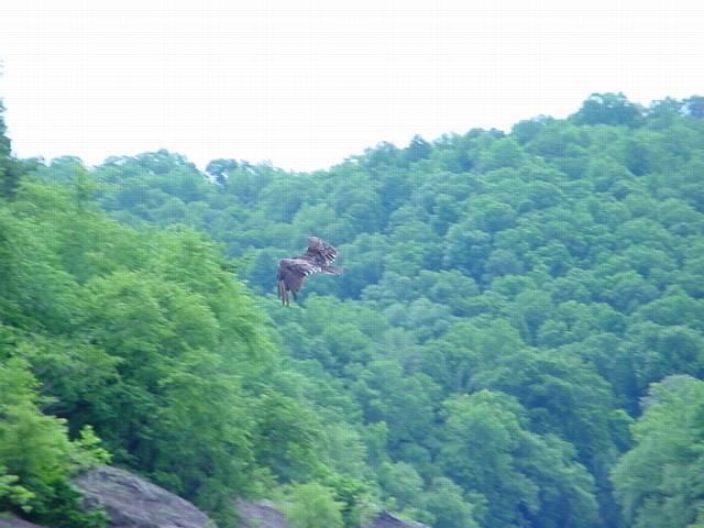 Click to display next picture