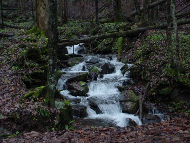 Click to display next picture