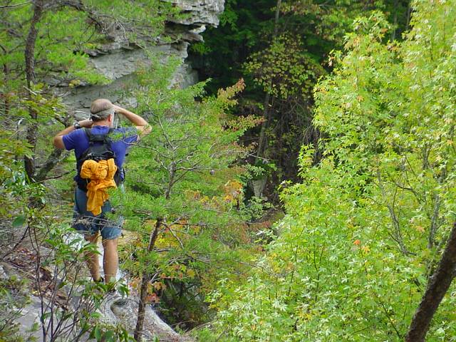 Click to display next picture