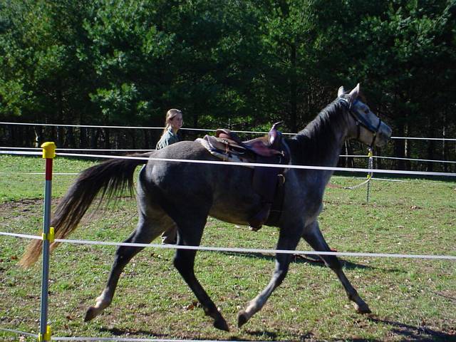 Click to display next picture