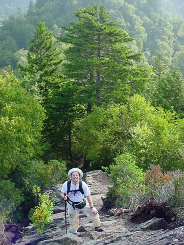 Click to display next picture