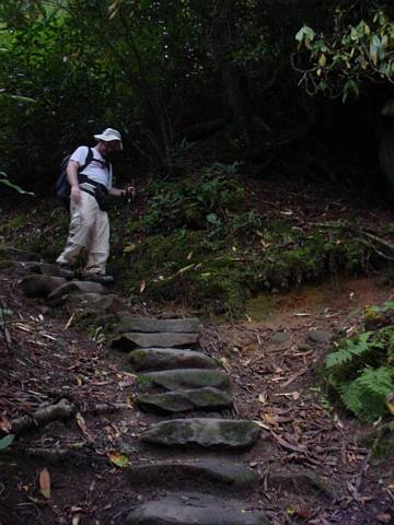 Click to display next picture